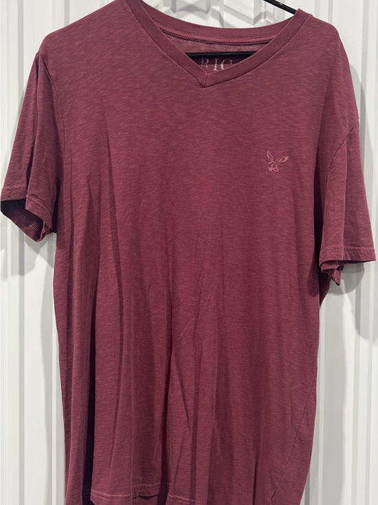American Eagle Outfitters Other - American Eagle Outfitters Men's V-Neck T-Shirt - Burgundy